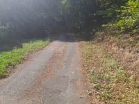 Pourcharesse von Pied de Boeuf