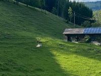 Praschberg über Gränzing