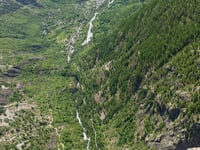 Pré de Madame Carle da Vallouise