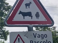 Prepiantò von San Vittore