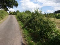 Presseux Ruz depuis Remouchamps