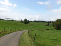 Presterstrasse