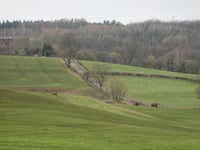 Presterstrasse