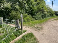 Primrosehill Shaw z Goring