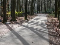 Prins Hendriklaan via Burgemeester van Heemstralaan