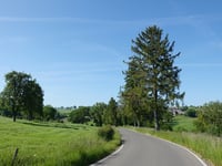 Privôt from Fosselette