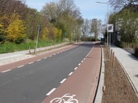Professor Cobbenhagenstraat via Nieuwstraat