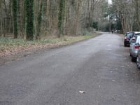 Pruisenbergen from Laren