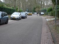 Pruisenbergen von Laren