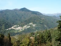 Prunetta da Mammiano Basso