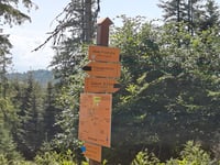 Przehyba da Gołkowice