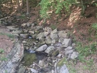 Przełęcz Karkonoska von Podgórzyn über Borowice