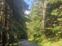 Przełęcz Karkonoska von Podgórzyn über Borowice