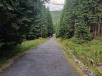 Przełęcz Karkonoska von Podgórzyn über Borowice