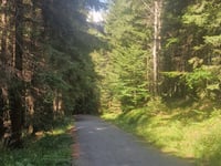 Przełęcz Karkonoska vanuit Podgórzyn via Przesieka