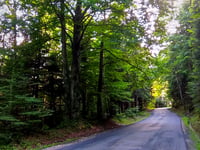 Przełęcz Zapusta da Brzeźnica via Kalwaryjska