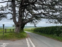 Pudlicote Lane