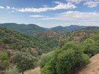 Puerto Artafi von Río Guadiato