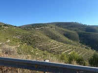 Puerto de Alcublas von Llíria