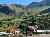 Puerto de la Bonaigua von La Guingueta d'Àneu