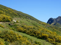 Puerto de San Glorio von Potes