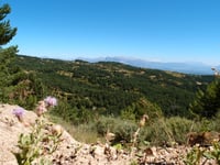 Puerto de Serrablo da Boltaña