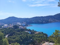 Puig Cala Llamp da Port d'Andratx