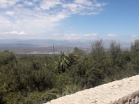 Puig de Randa / Santuari de Cura via Santuari de Gràcia