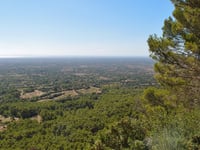 Puig de Randa / Santuari de Cura via Santuari de Gràcia
