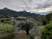 Puig de ses Donardes da Estellencs