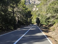Puig Major