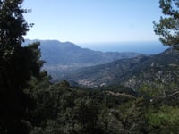 Puig Major