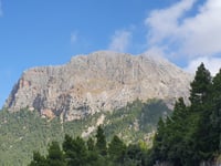 Puig Major