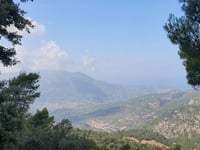 Puig Major
