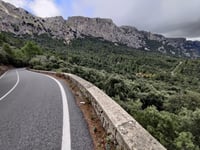 Puig Major