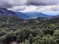 Puig Major