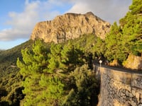 Puig Major