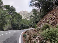 Puig Major