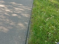 Pulczynów da Trzęsiny