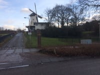 Molenberg z Floraweg