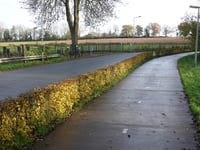 Putbroekerweg von Beek