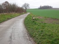 Putherweg über Eekerweg