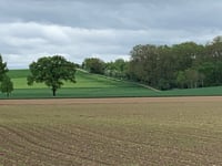 Putherweg via Stokselweg