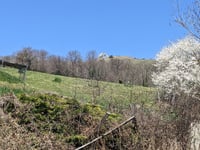 Putteville vanuit La Festiniere