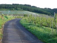 Pützbachstrasse von Kröv
