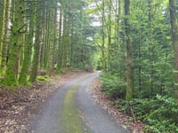 Puy de la Monédière von Treignac über Col de Bos