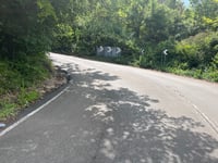 Quarry Wood from Marlow