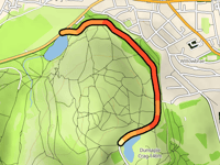 Queen's Drive