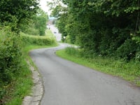 Queue du Bois