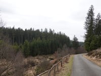 Raalkopf von Spohrbach